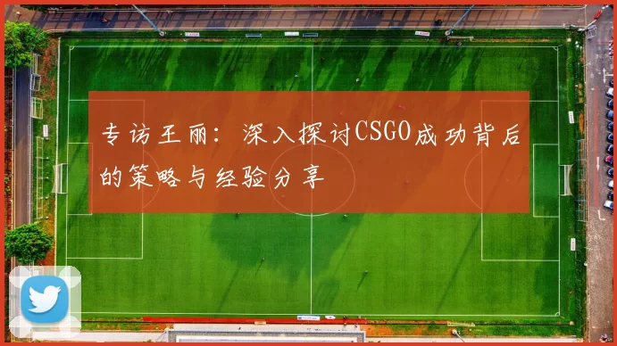 专访王丽：深入探讨CSGO成功背后的策略与经验分享