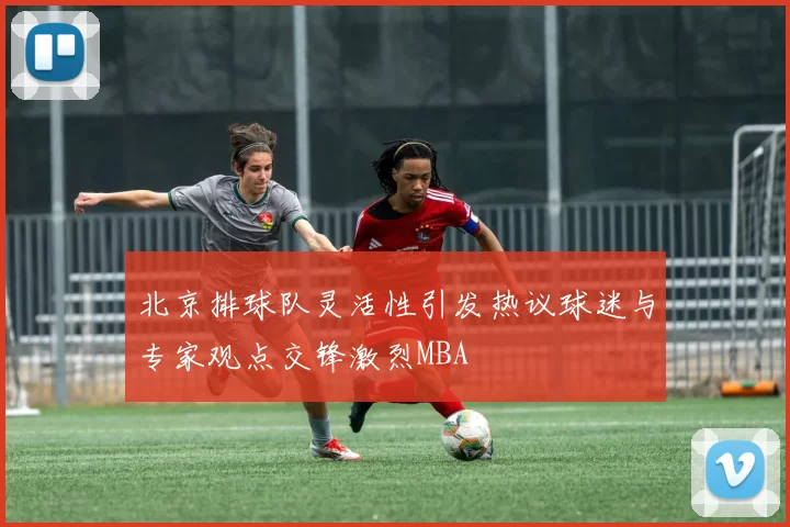 北京排球队灵活性引发热议球迷与专家观点交锋激烈MBA